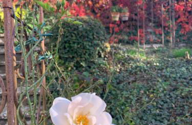 Ferienhaus Dornröschen - Foto 29
