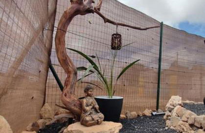 Habitación independiente La gata pequeña - Foto 15