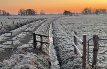 Gretes Hof - Foto 65