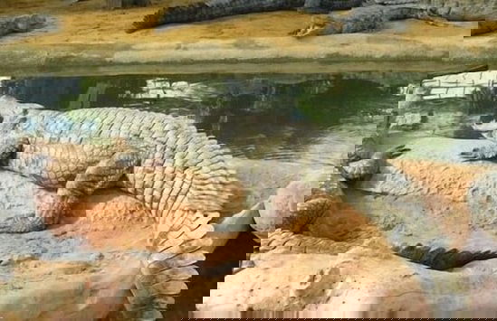 Au Coin des Vins - Foto 53