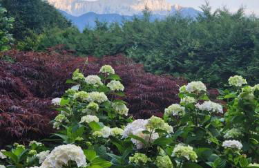 Ferienwohnungen beim Silbergersee - Foto 54