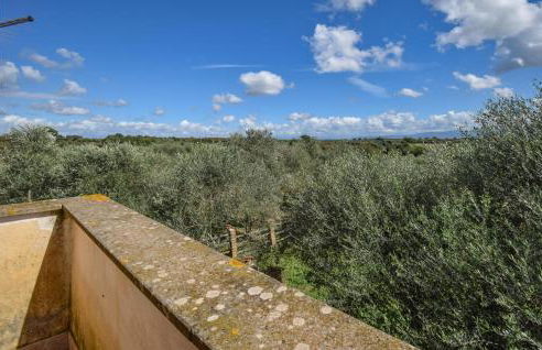 3 Bedroom Cozy Home In Vignanello - Foto 11