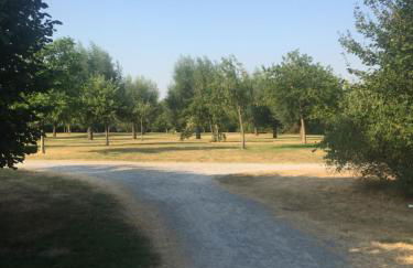 Apartment am Park - Foto 16