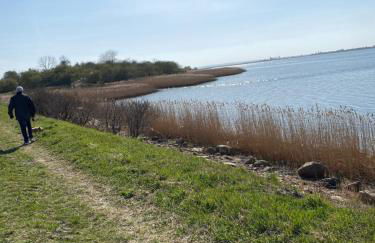 Ferienhaus - 135 qm - 3 SZ - 2 Terrassen - Nähe Insel Poel Ostsee - Foto 50