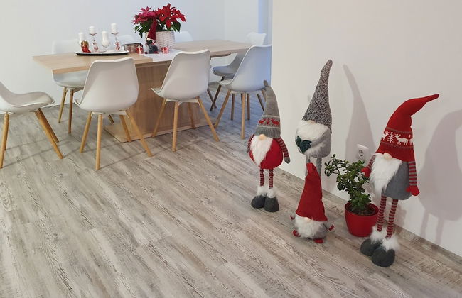 Apartments Akacijev Izvir - Foto 40