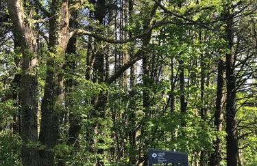 Lodge with log burner Contractors business private parking free Wi-Fi near M4 - Foto 34