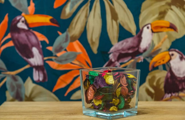 Toledo house Apartments - Foto 52