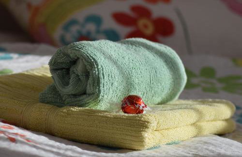 Apartment Gacka - Foto 18