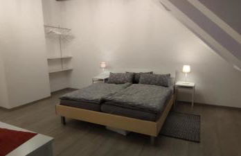 Pferdeparadies Calm River Ranch - Foto 20