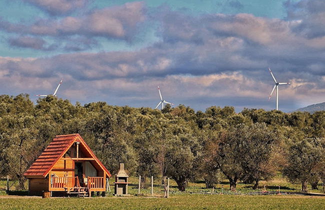 Ayvalık Sural Çiftliği Since 1899 - Foto 27
