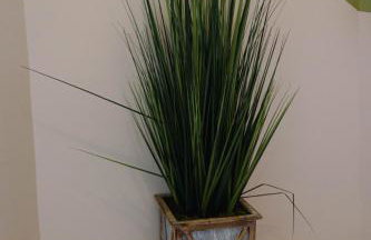 Rainforest Retreat 20m to NYC Parking Sleeps 25 - Foto 12