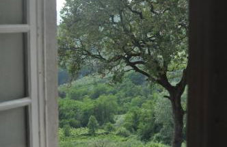 Agriturismo La Forestaria - Foto 37