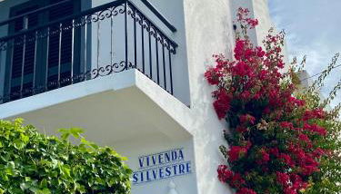Vivenda Silvestre Family House - Foto 4