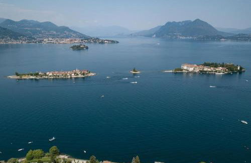 Palm on the lake - Foto 13