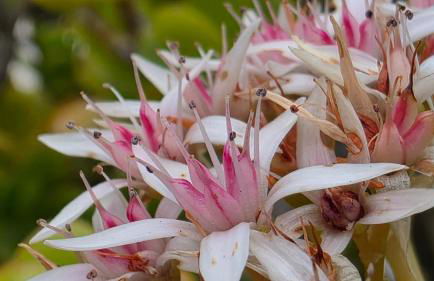 Appartement & Spa - Panoramic Olivars - Foto 21