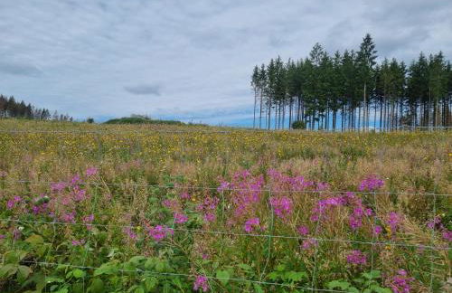 Ferienhaus mit Ausblick - Foto 22