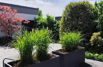 Moderne Doppelhaushälfte mit Süd-West-Terrasse - Foto 25