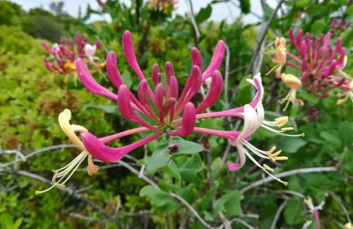 Refúgio Saloio- LugarTranquilo às Portas de Lisboa - Foto 37