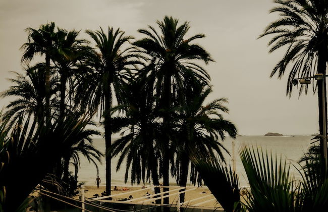 Apartamentos Bora Bora - Adults Only - Foto 47