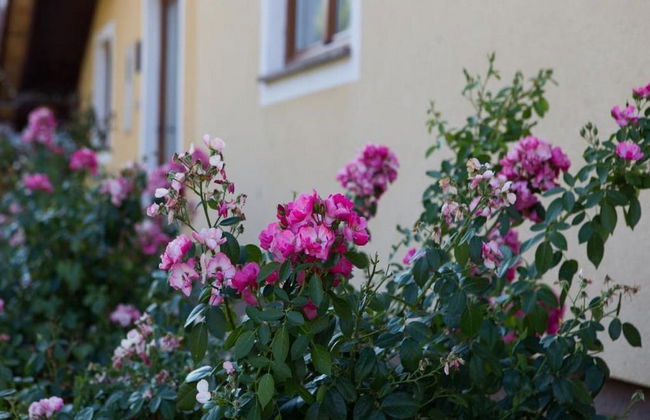 Apartment Dujmović 1 - Foto 32