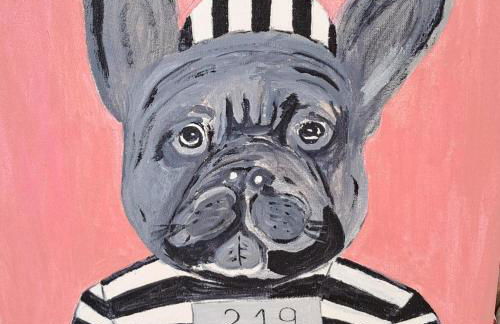 résidence azur 219 appartement T2 climatisé - Foto 13