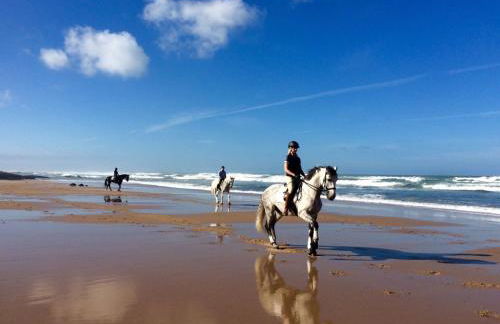 Luxus Ferienhaus Casa Paraiso - Foto 25