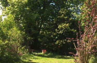 Gutshaus Zarnewanz - Foto 9