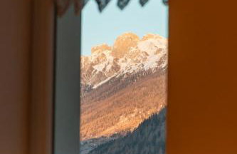 Alpinia - Foto 11