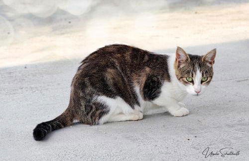 Agriturismo Fior di Maggio - Foto 32