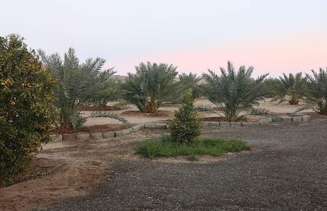 Almazham Farm House In Madin Saleh Alula - Foto 12