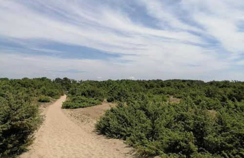 Molina apartment 213 - Photo 49