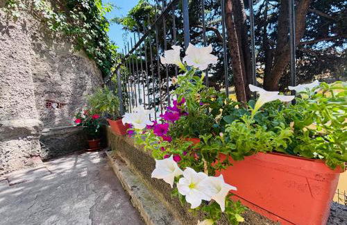 La casetta di Roby con giardino privato - Foto 12