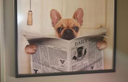 Woof & Sun - Foto 16