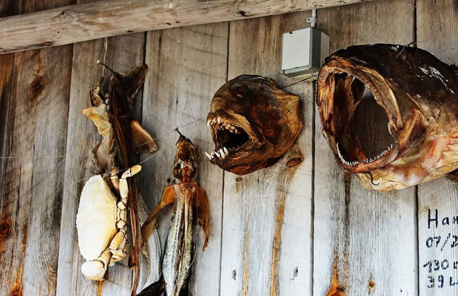 5 Person Holiday Home in Vagland - Photo 26