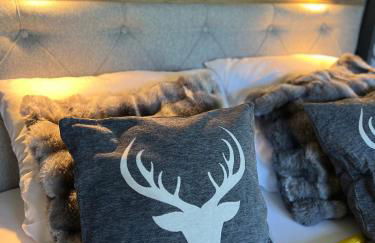 Bavaria Mountain Chalet DESIGN Ferienwohnung SKI Arber Osser Terrasse Sauna in Villa mit Bergblick bis 6 Pers - Foto 1