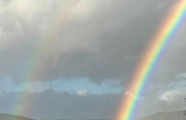 Aparthotel Tannenhof - Foto 28