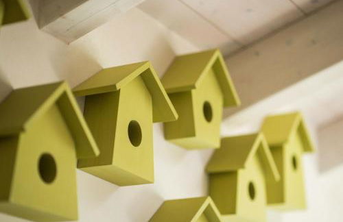 Quader nidi nel verde - Foto 39