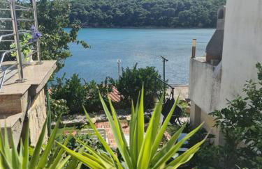 Apartments Ivi - Photo 2