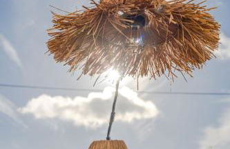 Nénuphar - Photo 41