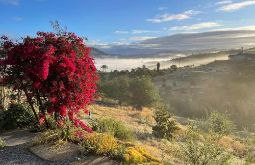 Luxury Modern Chateau near wineries & beaches - Foto 37