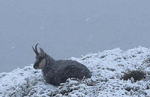 RELAX CHALET Nature Retreat - isolé sur 3 hectares - confort de LUXE - maison entière 150m2 - près de La Bresse - Foto 46