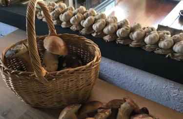 La Masía de Navas - Photo 48