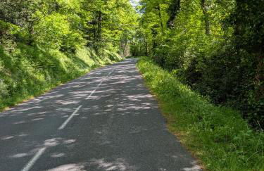 Maison des lacs - Photo 15