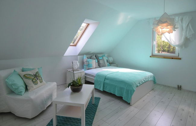 Holiday Home in Debina Near Baltic Sea - Photo 2