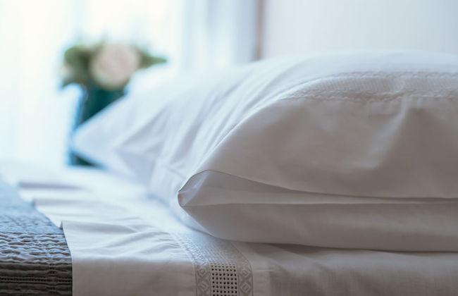 Blue House Ponte de Lima - Foto 30