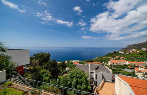 OurMadeira - Amaro Sol - Foto 27