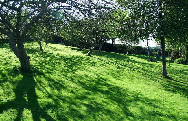 La Llosa Rodré - Foto 17