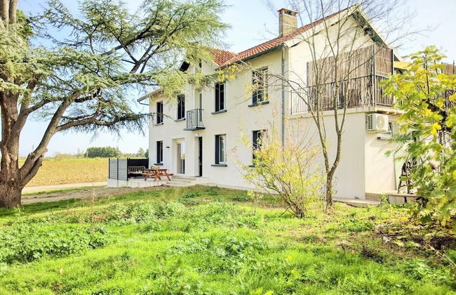 Le Cottage Nature Syrah - Foto 24