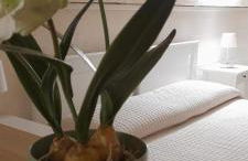 Ristel Casa Vacanza - Foto 23