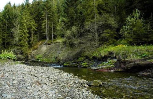 Ośrodek Nad Potokiem - Foto 18